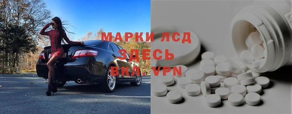 PSILOCYBIN Алзамай