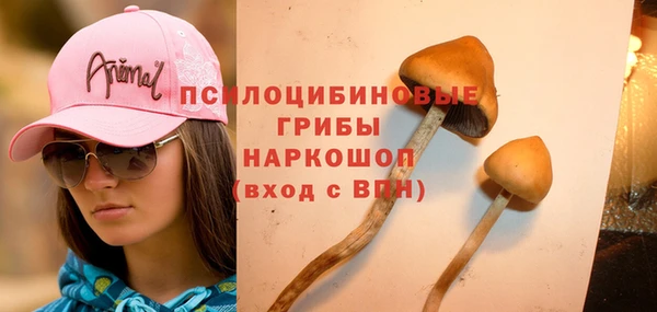 PSILOCYBIN Алзамай
