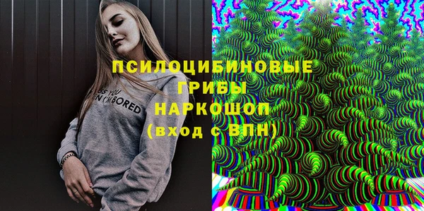 PSILOCYBIN Алзамай