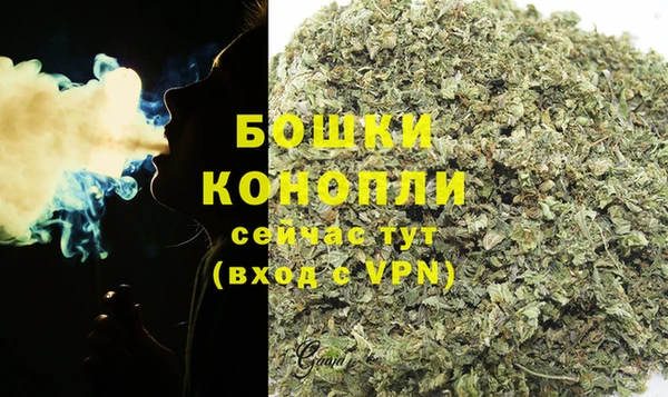 PSILOCYBIN Алзамай