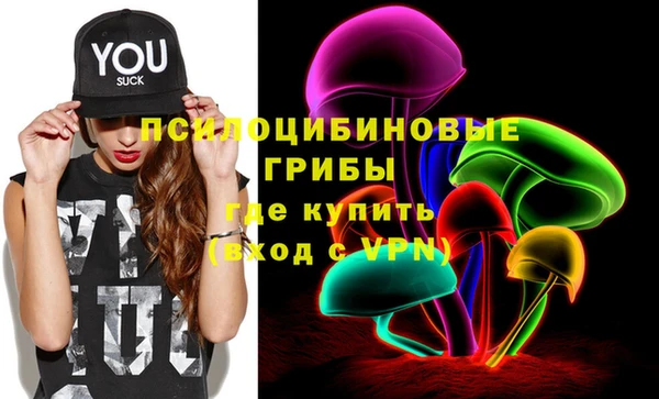 PSILOCYBIN Алзамай
