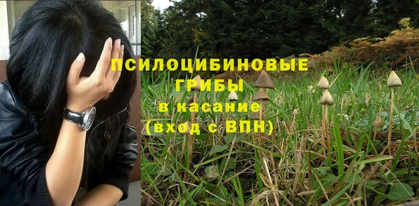 PSILOCYBIN Алзамай