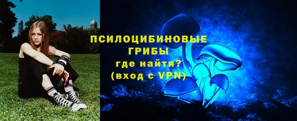 PSILOCYBIN Алзамай