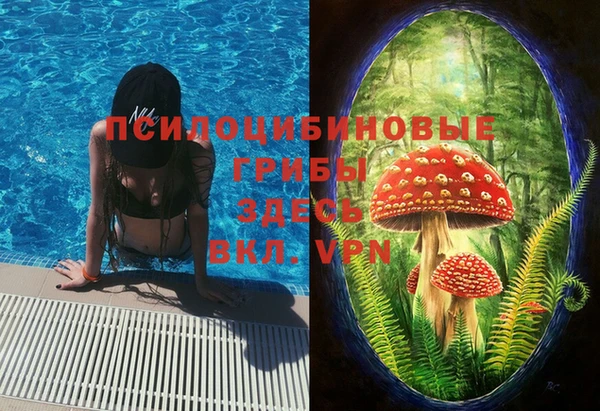 PSILOCYBIN Алзамай