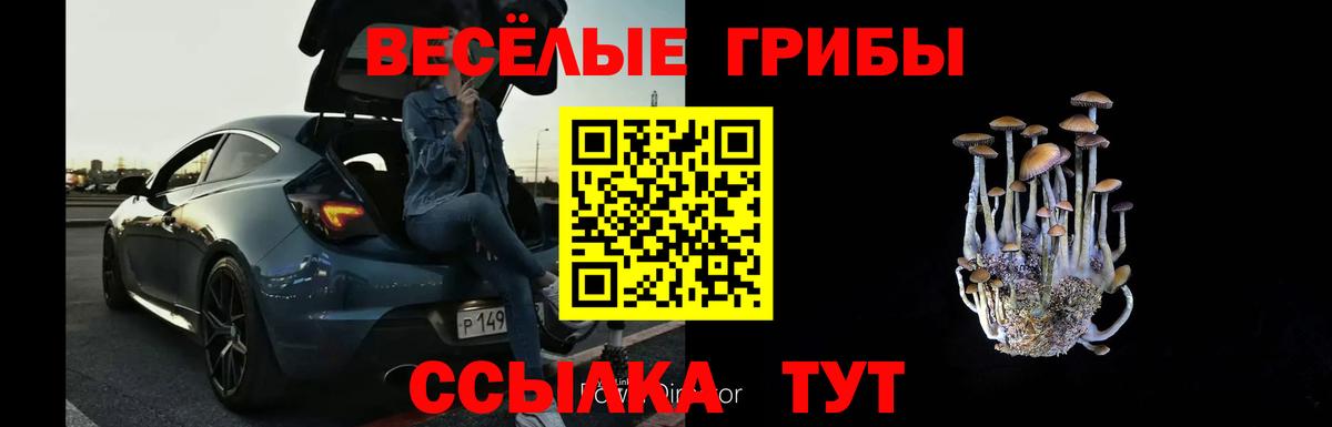 Псилоцибиновые грибы ЛСД  Псилоцибиновые грибы Cubensis  Вход с VPN  Апрелевка 